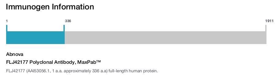 FLJ42177 Polyclonal Antibody, MaxPab™