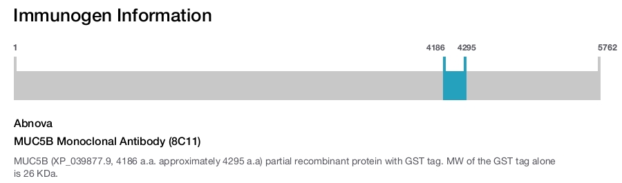 MUC5B Monoclonal Antibody (8C11)