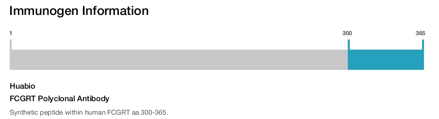 FCGRT Polyclonal Antibody