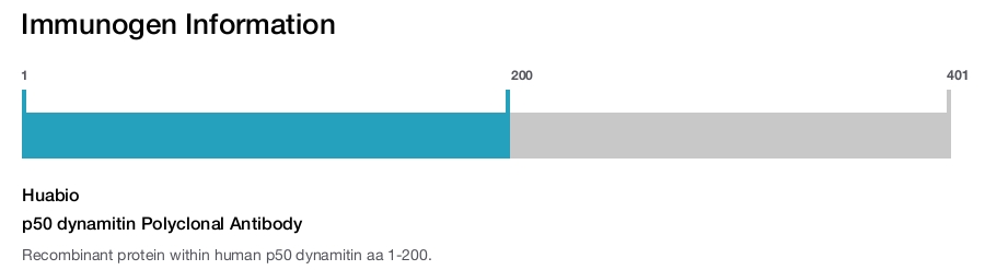 p50 dynamitin Polyclonal Antibody