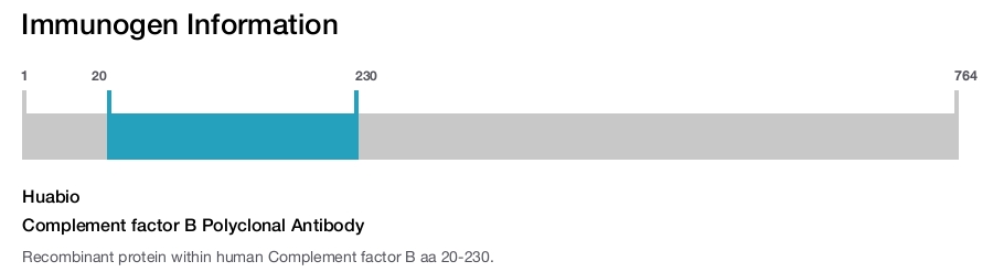 Complement factor B Polyclonal Antibody