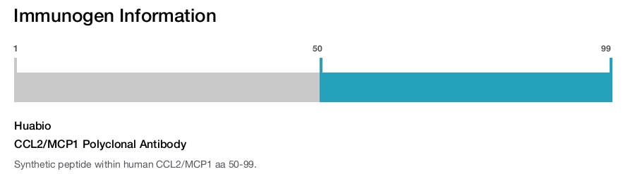 CCL2/MCP1 Polyclonal Antibody