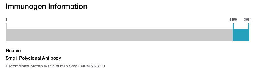 Smg1 Polyclonal Antibody
