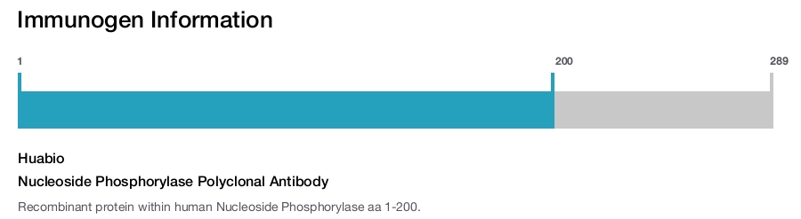 Nucleoside Phosphorylase Polyclonal Antibody
