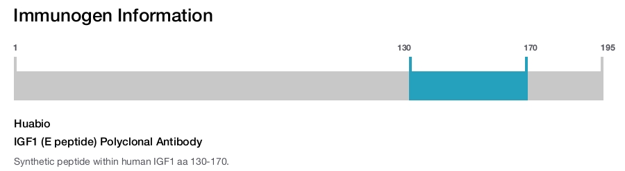 IGF1 (E peptide) Polyclonal Antibody