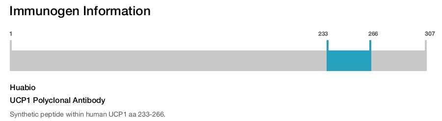 UCP1 Polyclonal Antibody
