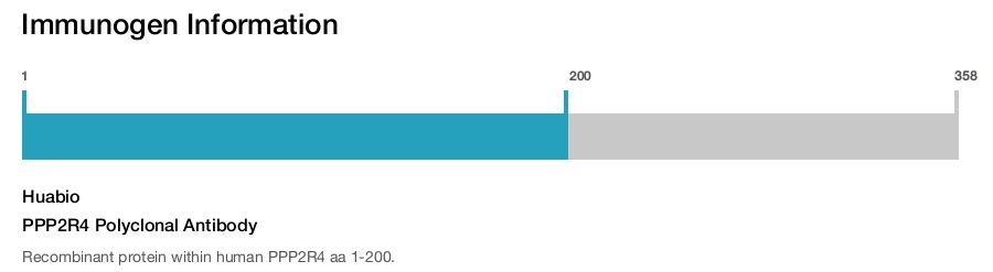 PPP2R4 Polyclonal Antibody