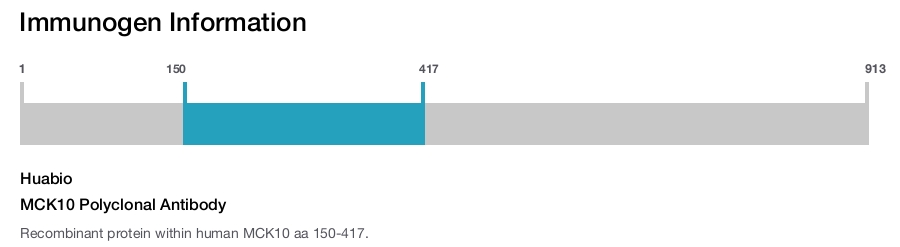 MCK10 Polyclonal Antibody