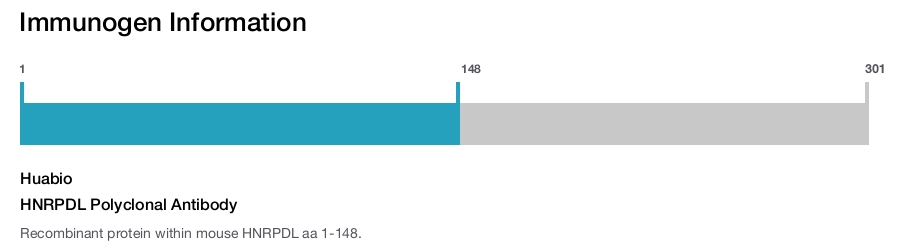 HNRPDL Polyclonal Antibody
