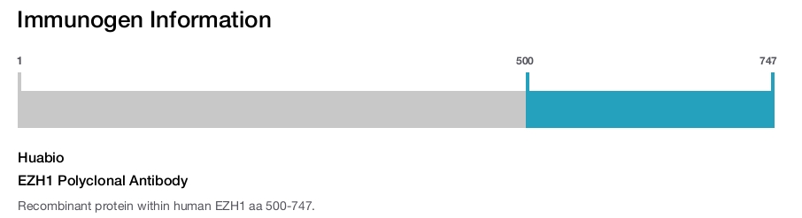 EZH1 Polyclonal Antibody