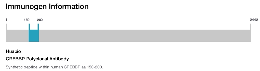 CREBBP Polyclonal Antibody
