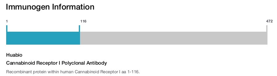 Cannabinoid Receptor I Polyclonal Antibody