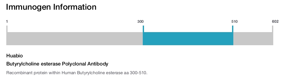 Butyrylcholine esterase Polyclonal Antibody