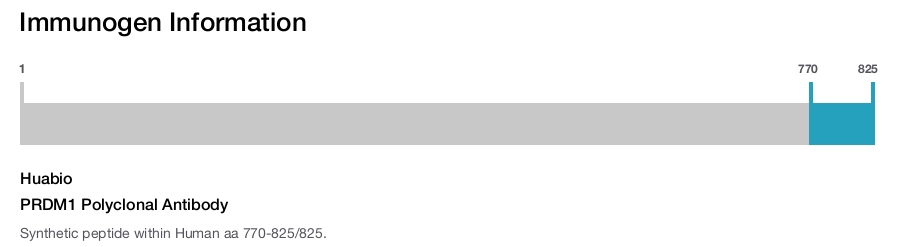 PRDM1 Polyclonal Antibody