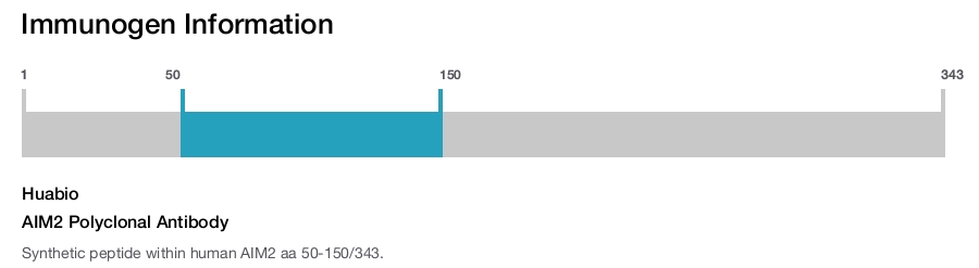 AIM2 Polyclonal Antibody