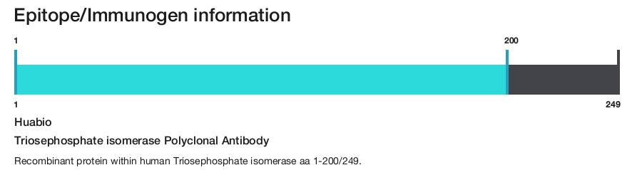 Triosephosphate isomerase Polyclonal Antibody