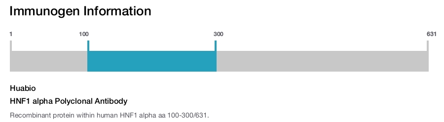 HNF1 alpha Polyclonal Antibody