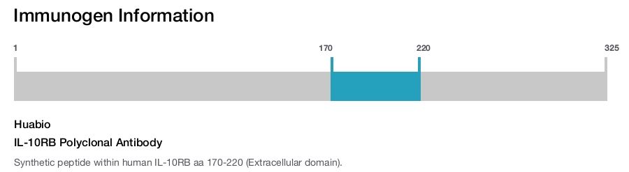IL-10RB Polyclonal Antibody