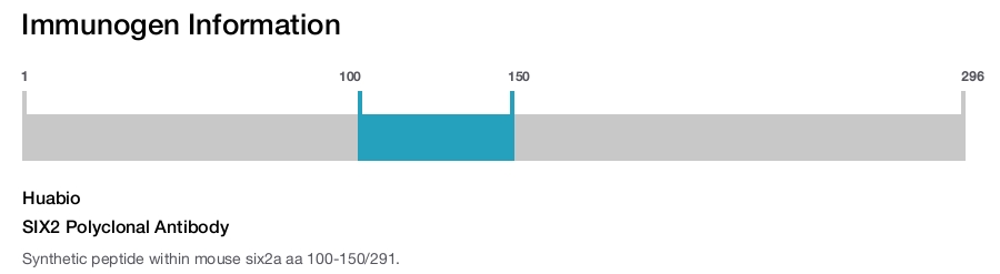 SIX2 Polyclonal Antibody