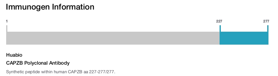 CAPZB Polyclonal Antibody