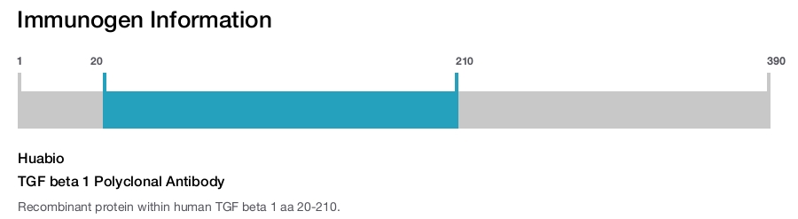 TGF beta 1 Polyclonal Antibody