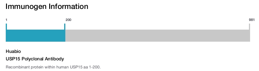 USP15 Polyclonal Antibody