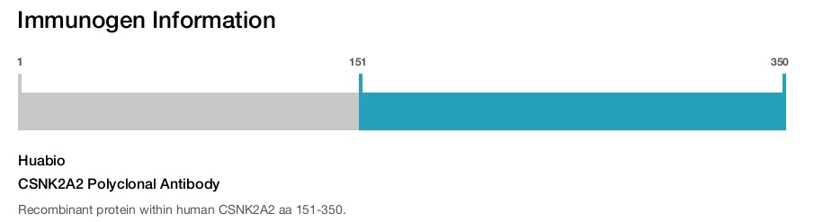 CSNK2A2 Polyclonal Antibody