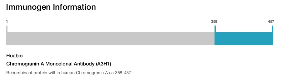 Chromogranin A Monoclonal Antibody (A3H1)