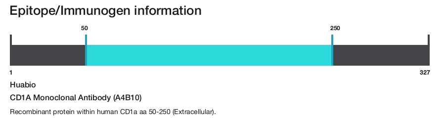 CD1A Monoclonal Antibody (A4B10)