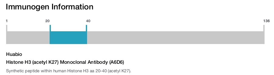 Histone H3 (acetyl K27) Monoclonal Antibody (A6D6)