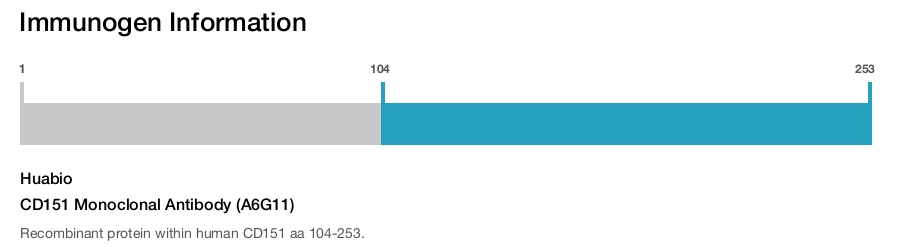 CD151 Monoclonal Antibody (A6G11)