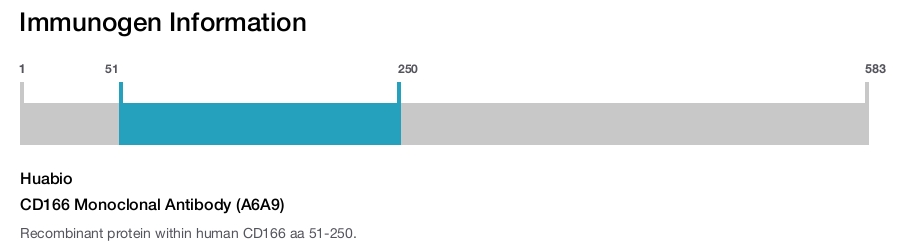 CD166 Monoclonal Antibody (A6A9)