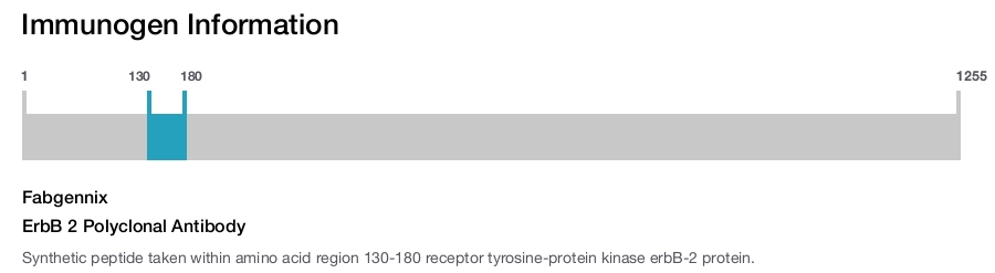 ErbB 2 Polyclonal Antibody