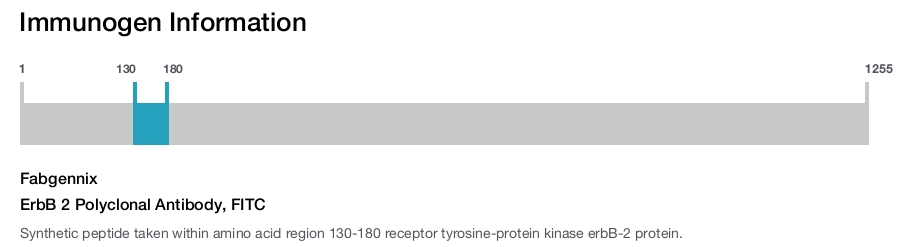 ErbB 2 Polyclonal Antibody, FITC