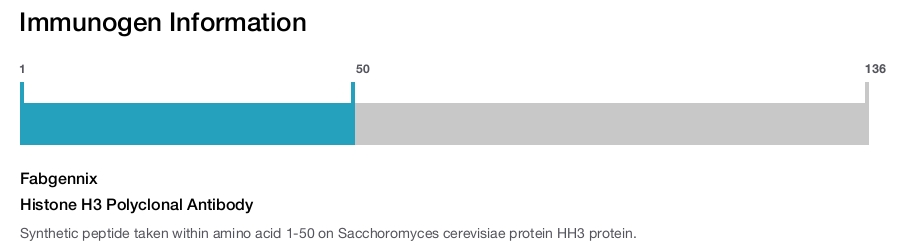 Histone H3 Polyclonal Antibody