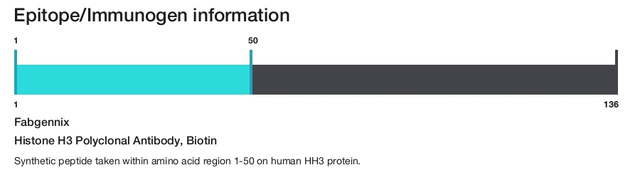 Histone H3 Polyclonal Antibody, Biotin