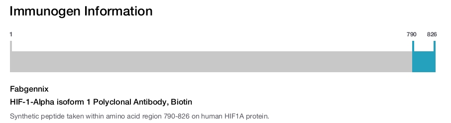 HIF-1-Alpha isoform 1 Polyclonal Antibody, Biotin