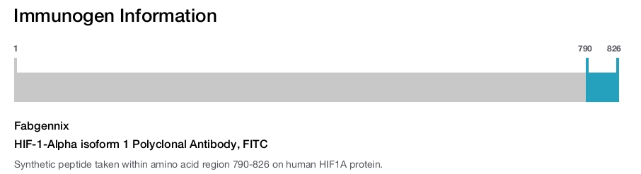 HIF-1-Alpha isoform 1 Polyclonal Antibody, FITC