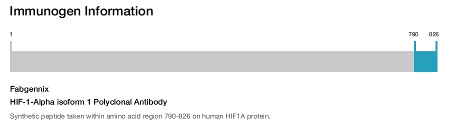 HIF-1-Alpha isoform 1 Polyclonal Antibody