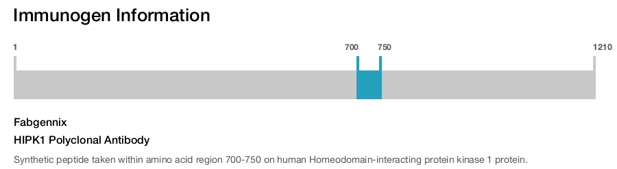 HIPK1 Polyclonal Antibody