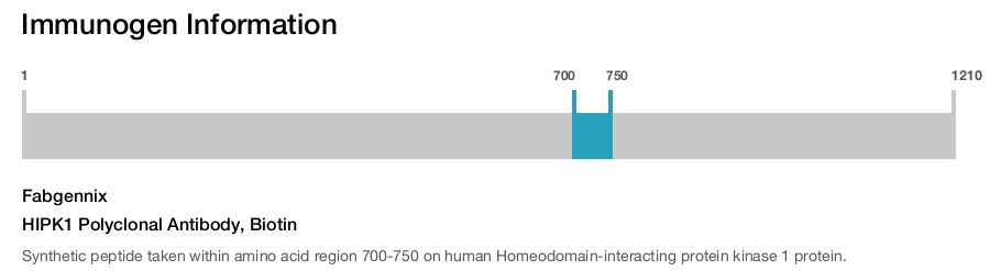 HIPK1 Polyclonal Antibody, Biotin