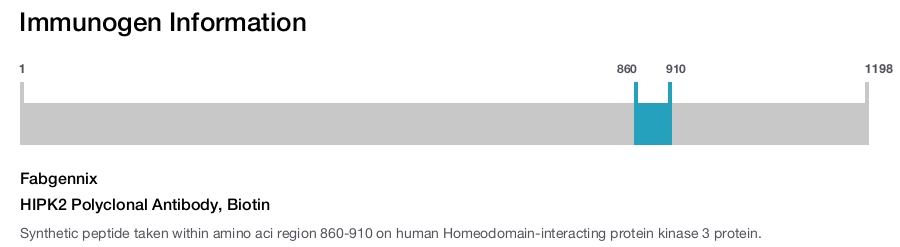 HIPK2 Polyclonal Antibody, Biotin