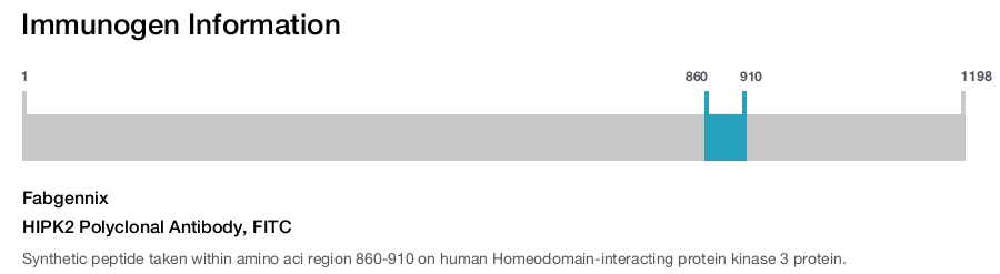 HIPK2 Polyclonal Antibody, FITC