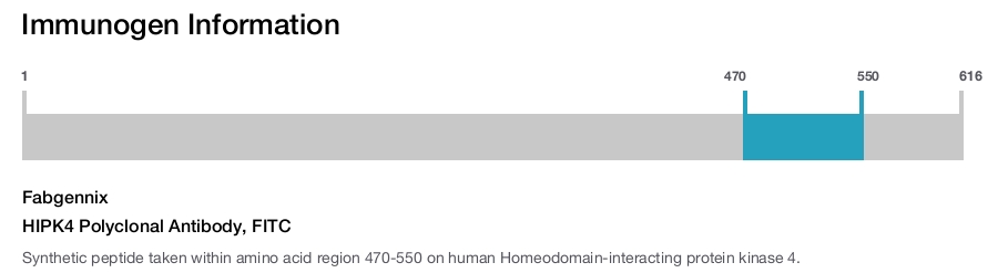 HIPK4 Polyclonal Antibody, FITC