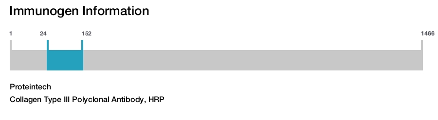 Collagen Type III Polyclonal Antibody, HRP