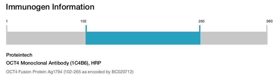 OCT4 Monoclonal Antibody (1C4B6), HRP