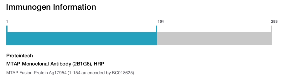 MTAP Monoclonal Antibody (2B1G6), HRP