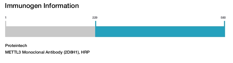 METTL3 Monoclonal Antibody (2D8H1), HRP