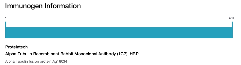 Alpha Tubulin Recombinant Rabbit Monoclonal Antibody (1G7), HRP