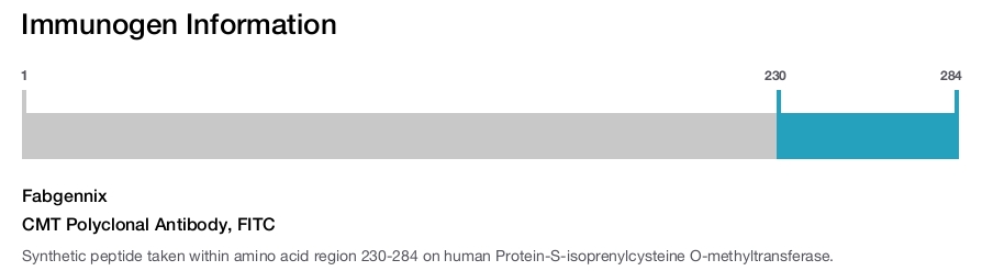 CMT Polyclonal Antibody, FITC